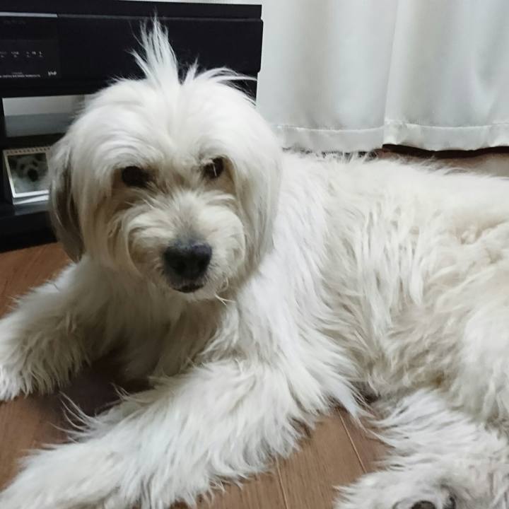 F6c7ce6c bd74 4538 a498 7e83ab1ce606