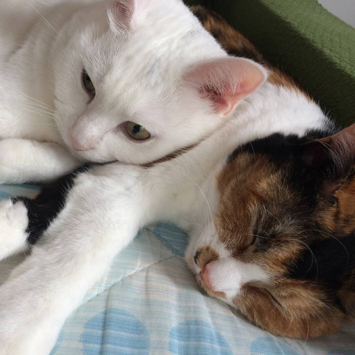 F6c927f4 e30b 4aba 87d7 16dbb11794cd