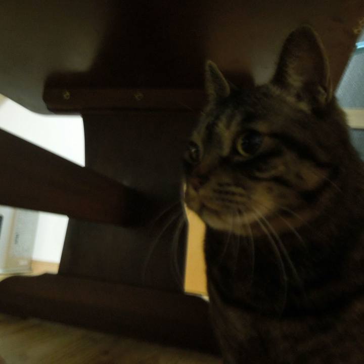 F6c99378 e56a 409a 8fec 1c64e6066bb9