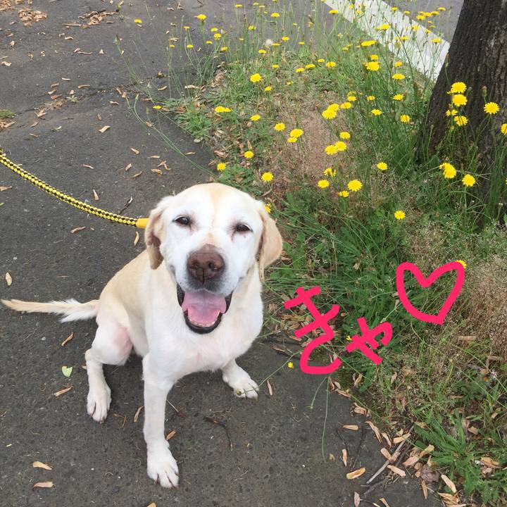 F6ca0bc5 969d 4f69 a340 d0a225e37791