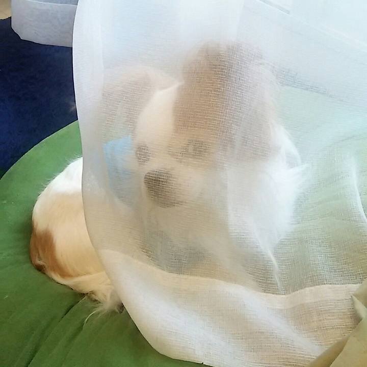 F6ca76c7 93c4 410c 9b2d 0d73bd3c0080