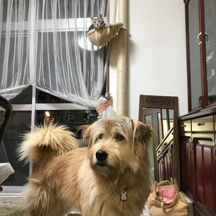 F6cafc4c 34af 4275 9620 fe9b96acb64d