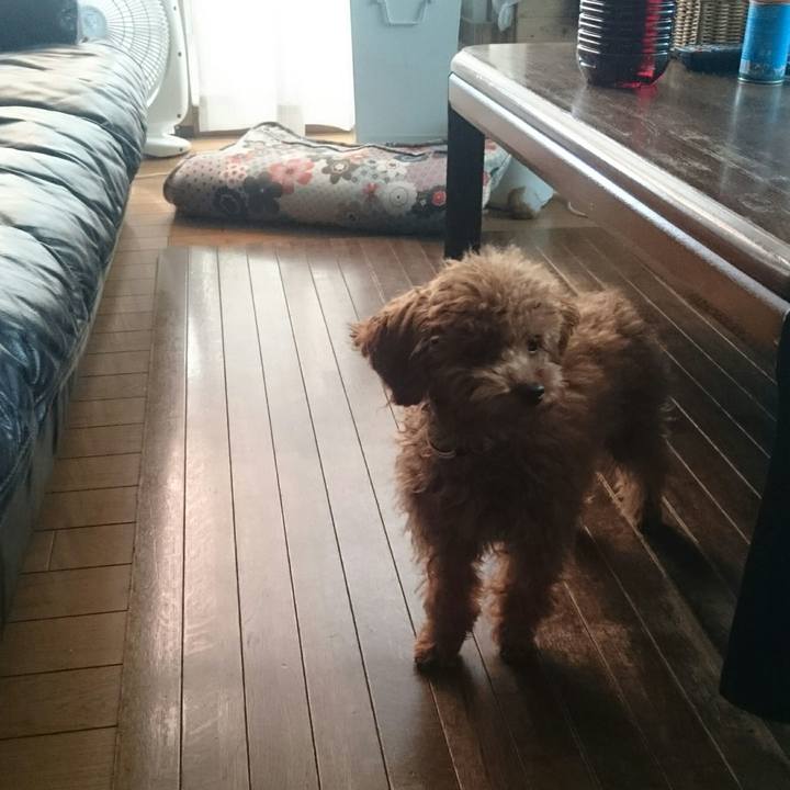 F6cb72da 5887 4f73 9105 1c35fbbc0f6e