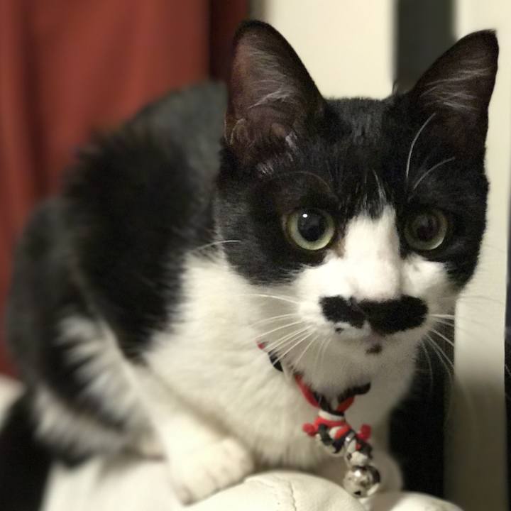 F6cb8af3 7d8d 4d8b b7c7 31937c32adf9