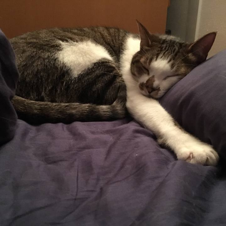 F6cbdaad 87a1 4090 888d 6d9adeb89489