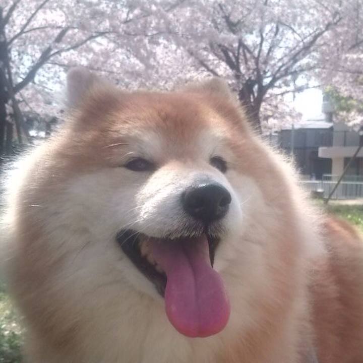 F6cc5b0f 591e 49ab ab11 d73cf017472f