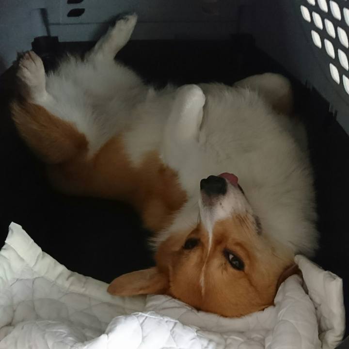 F6cc9d80 5233 40a9 9707 e180a6bab895