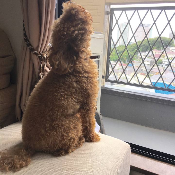 F6ccaa12 42ce 448d bcc0 91118b2e087d