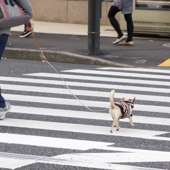 F6cdb713 b284 4d3e 912f d34ebbca9c44