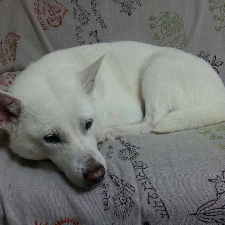 F6ce4b7f b6cc 41a8 b6a7 f33f09151305