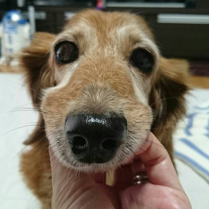 F6ce9d59 c467 44ae a44a 3bbd697aa69c