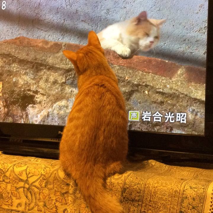 F6cee0fc 4e5f 425b adda 94f32068f9a7