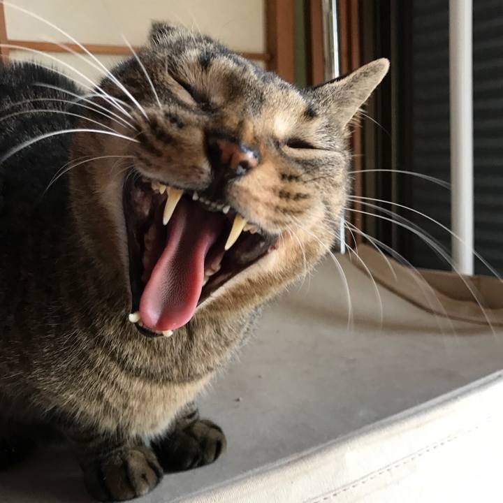 F6ceecec 9434 4a72 8345 12b66adf52dc