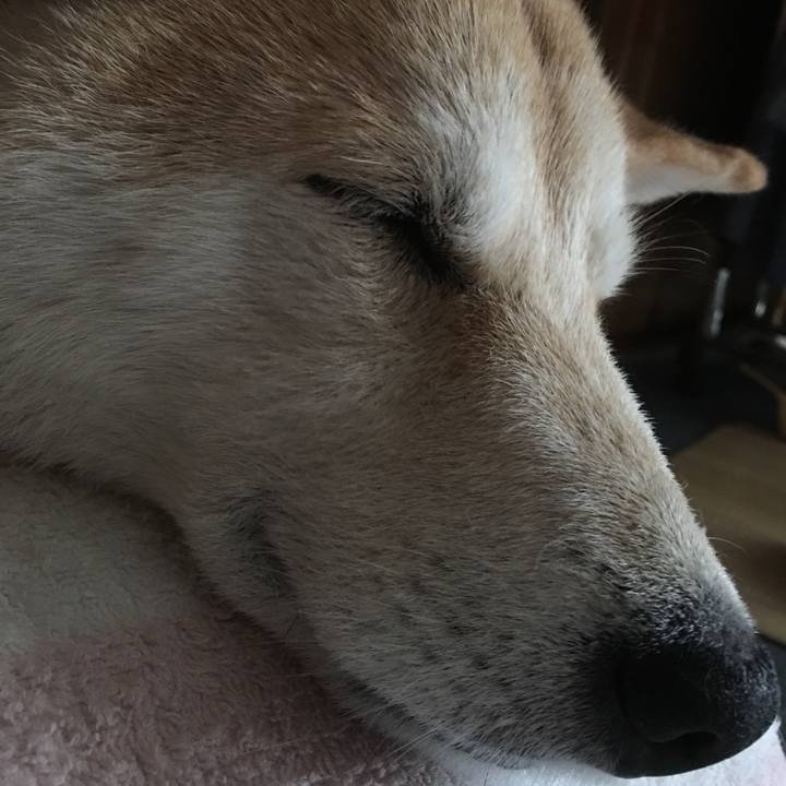 F6cf7238 df3f 4a8a 8c91 11ffc09240cc