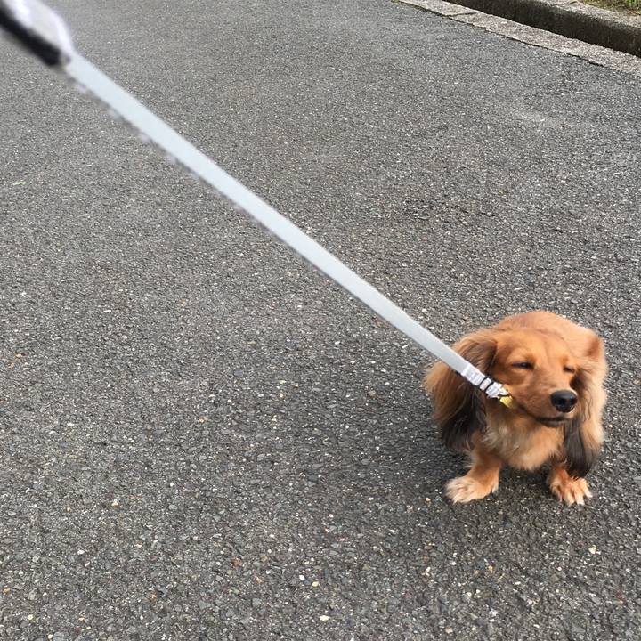 F6cf734c 2e9b 4ffd af92 5cad8a522d0a