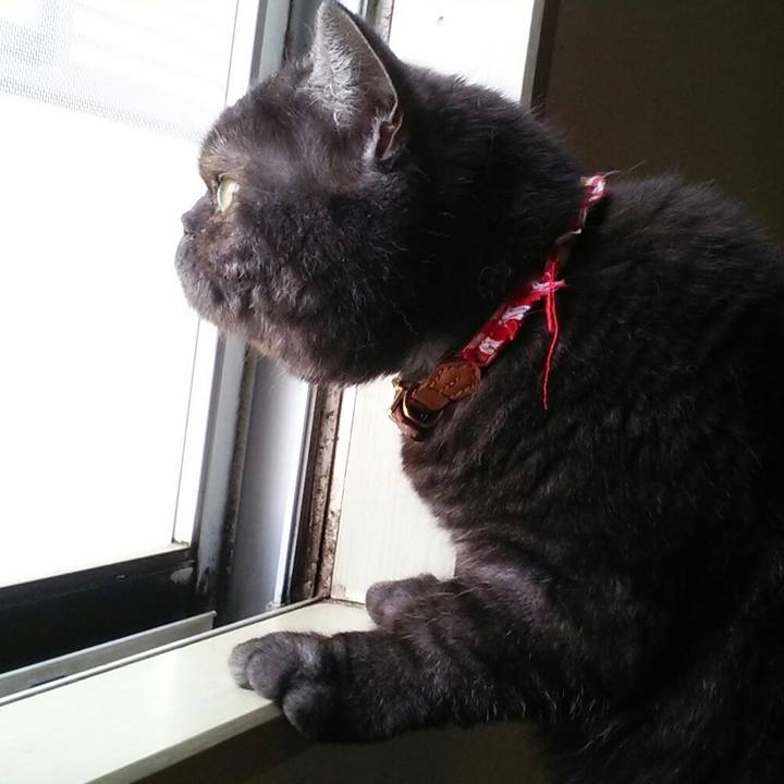 F6cfcdf5 513b 4a22 bb68 366711a73699