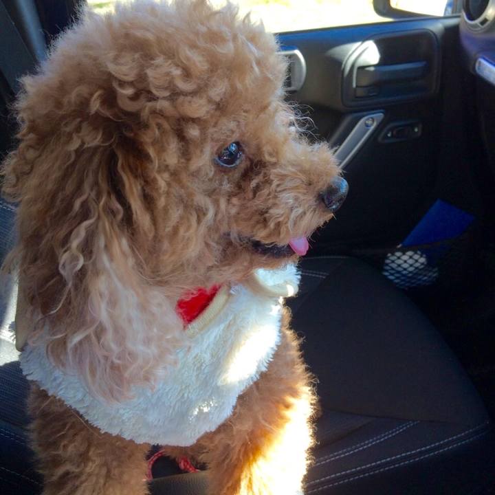 F6cfff40 e397 45a0 9ebe 4b716d52eb80