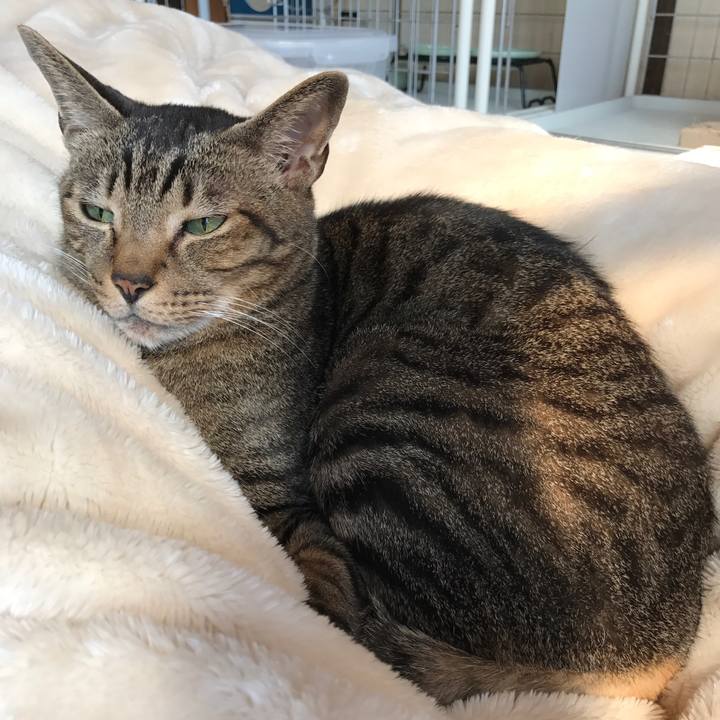 F6d01d94 3261 49ad b034 4e402a4fa38b