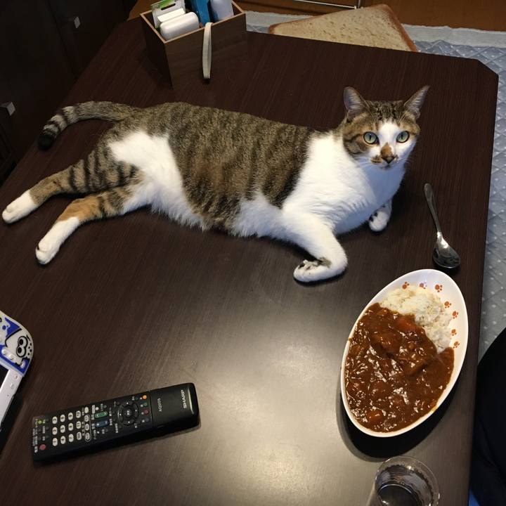 F6d06e50 5e18 436c 866f b0472ebdf339