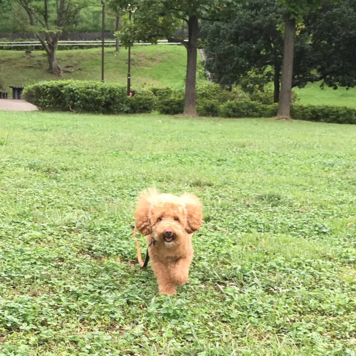 F6d08d5a a2a8 4017 a76e d557d7ba8fb9