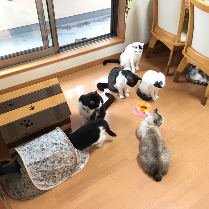 F6d16c1c 5dfb 4049 bd00 e00804bc766b