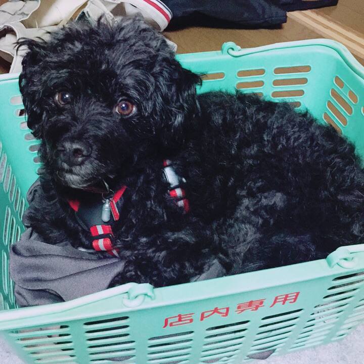 F6d17f0f b22f 4238 94ad bade855b7dee