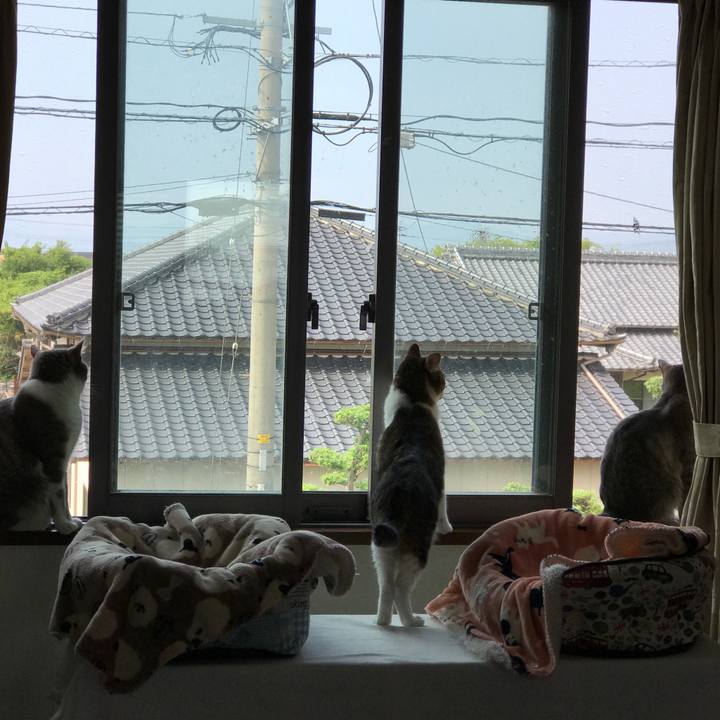 F6d20aba 626d 41ca a69d 110b14cab317