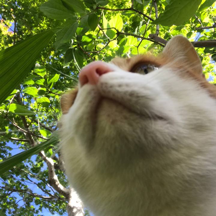 F6d24335 d7eb 41a5 9271 ff1f106196cd