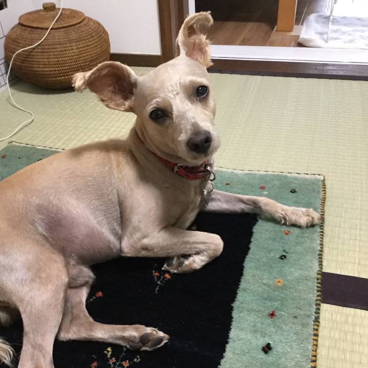 F6d25027 d46d 414a a353 3c31e7a4d955