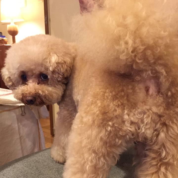 F6d28211 9bf9 41ae a3e7 31d5032a7b33