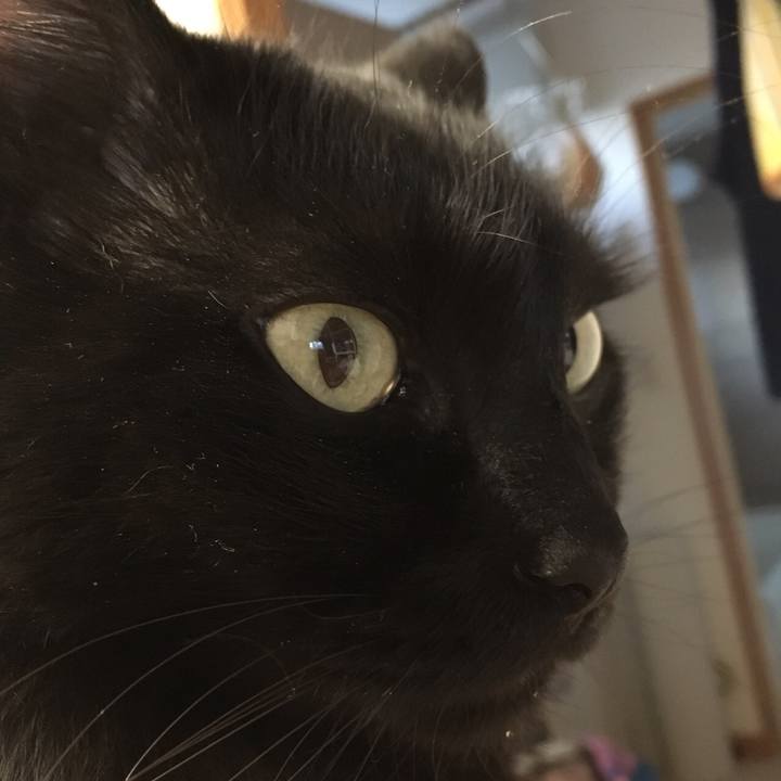 F6d2d232 46b2 46df a637 8ed983ec02ad