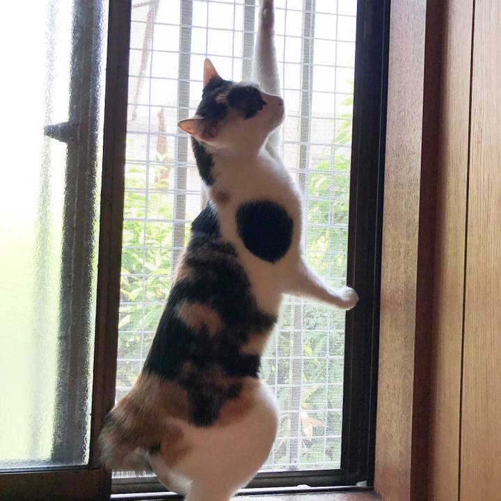 F6d32143 dfe9 4d22 94e8 dcdbfec8d84e