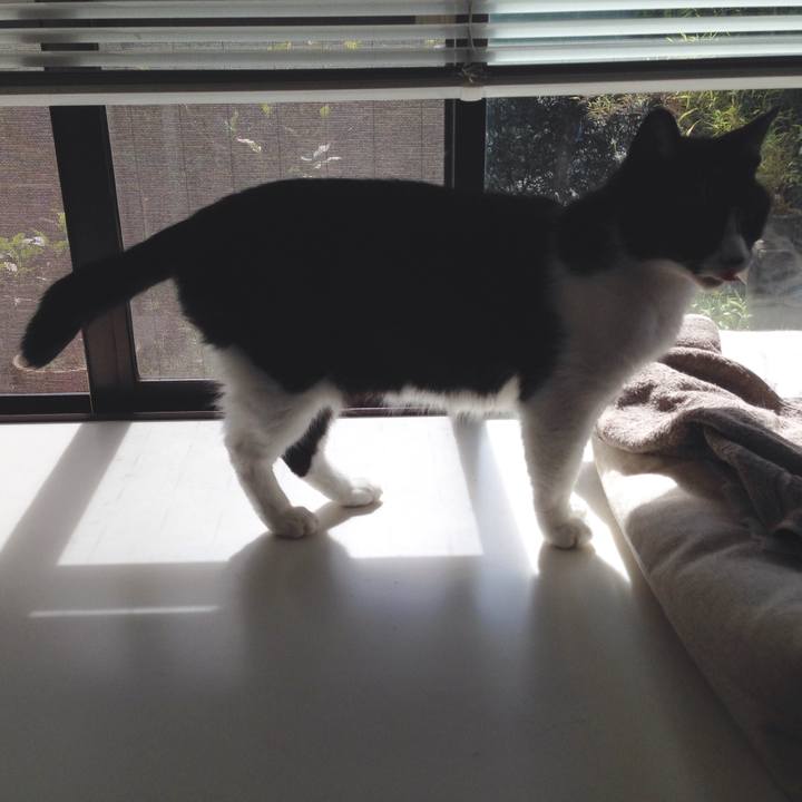 F6d3334b f207 4e52 bd0d 5241b072a334