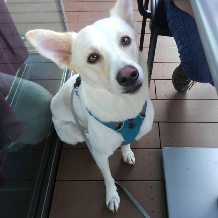 F6d3b4f6 70aa 4146 b14b ed127e2fe452