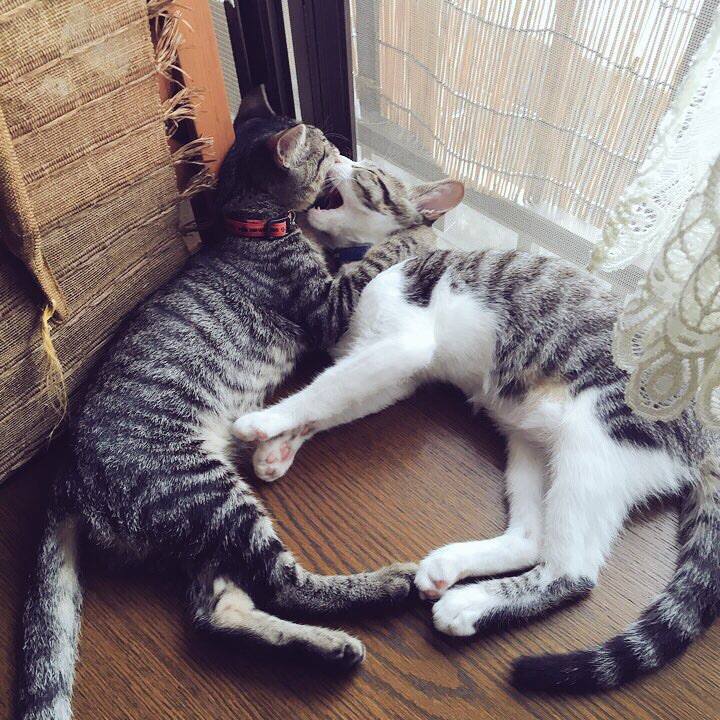 F6d4220f e207 4153 9977 11efb141e5df