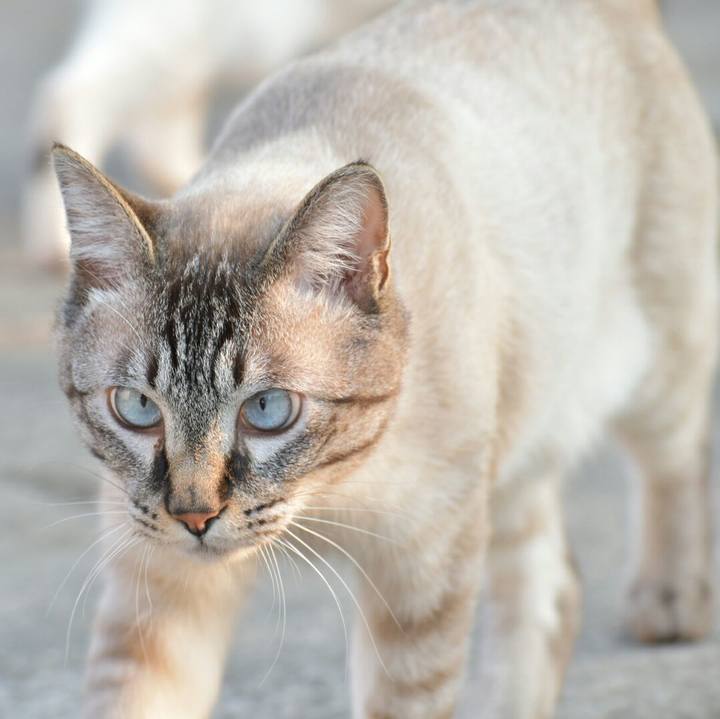 F6d42b5a 3584 46d0 aca7 30155a3312ea