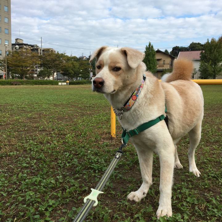 F6d43a89 ddcc 4fcc a864 6fe7fa9b9bb8