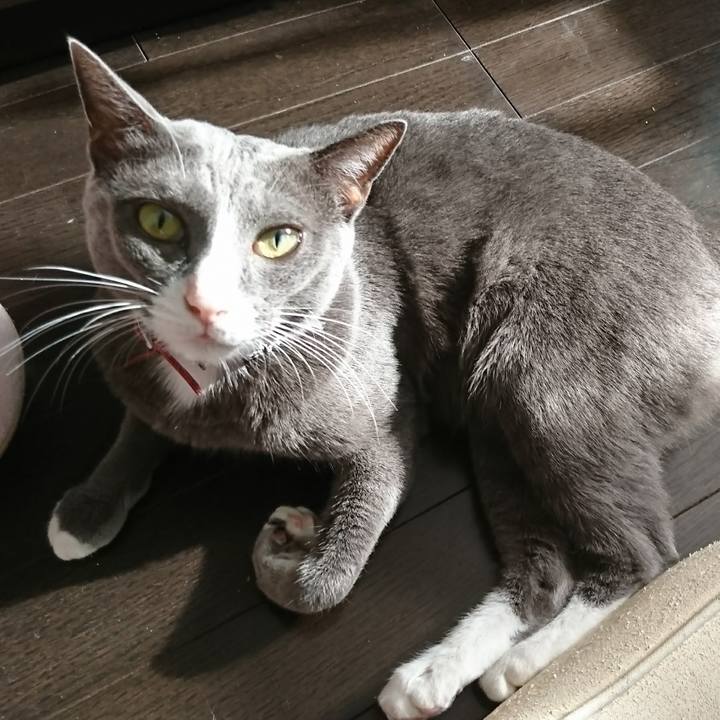 F6d44673 c6a3 4f63 b12d a44ab2d6ec39