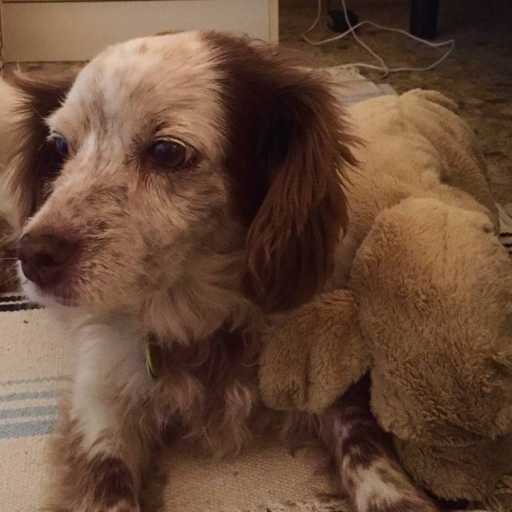 F6d5281f 591b 4d42 91fc 1e16b057b205