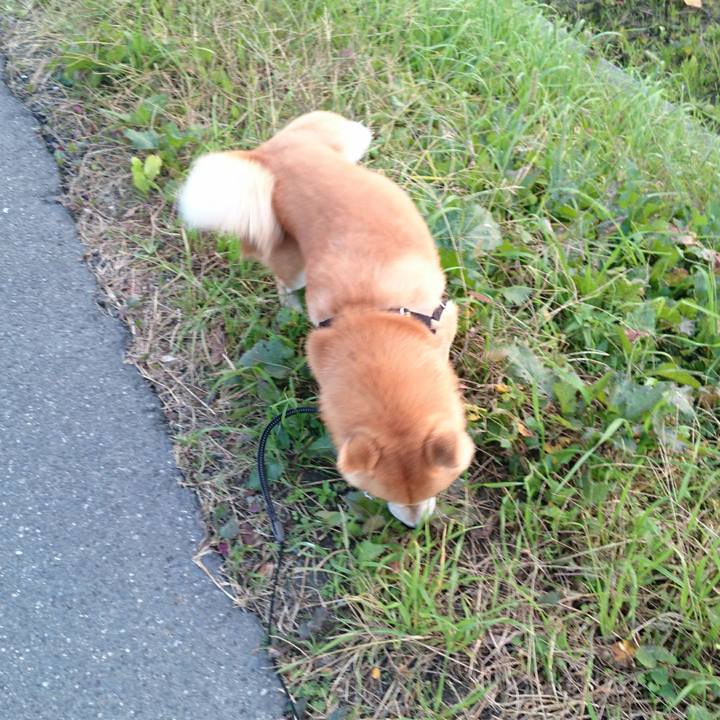 F6d5f990 c660 4bd8 a837 b8e8bdc541bd