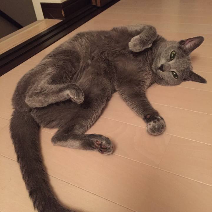 F6d622c4 7b9d 4221 904a 406fa7944390