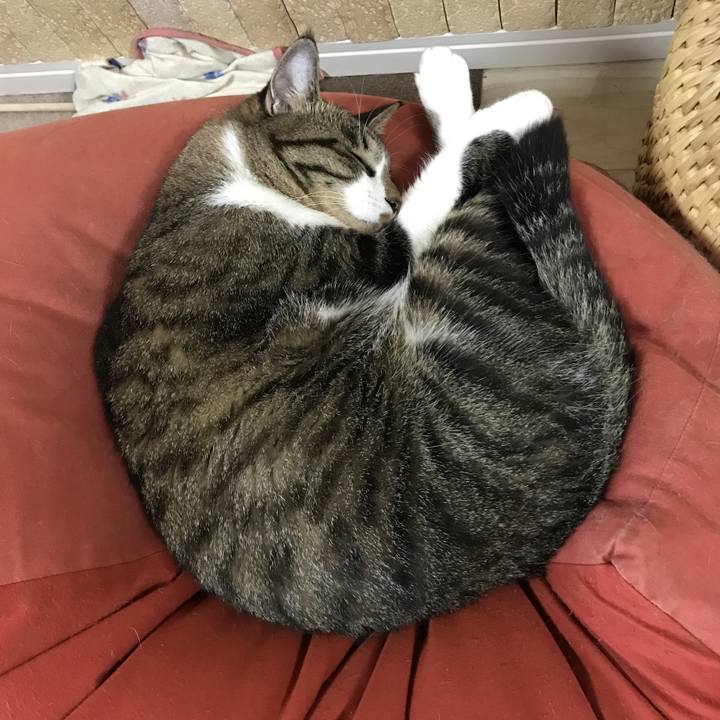 F6d62fee 2e0d 4c70 ac1c 35748ecf7ebd