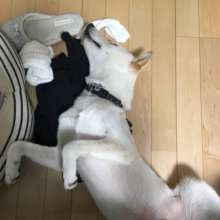 F6d76553 ae07 42f1 91b6 798961241e8e