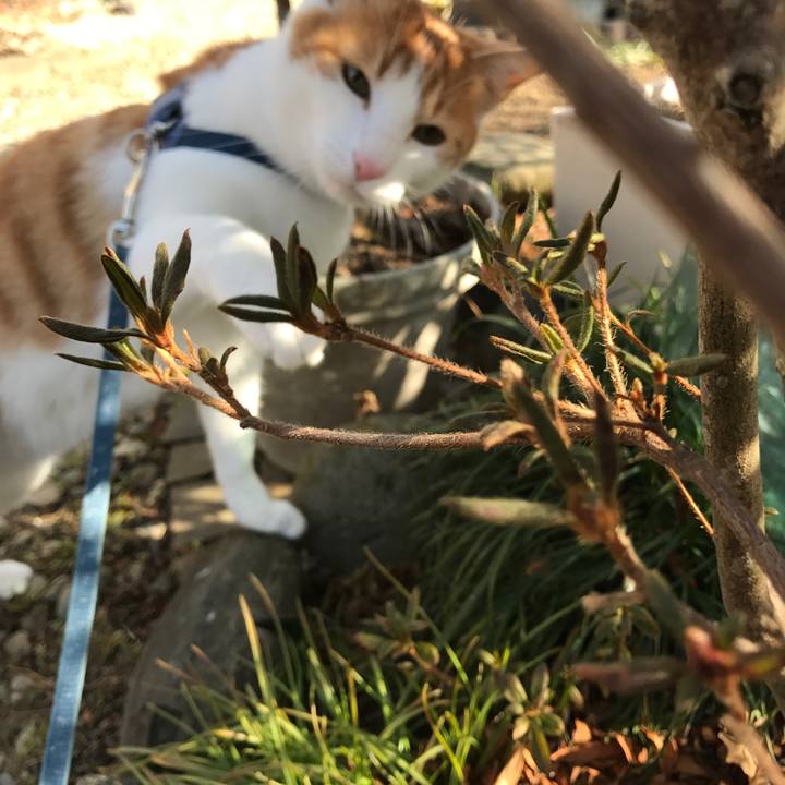 F6d76716 beaf 4a0a 8196 fe5ca868c780