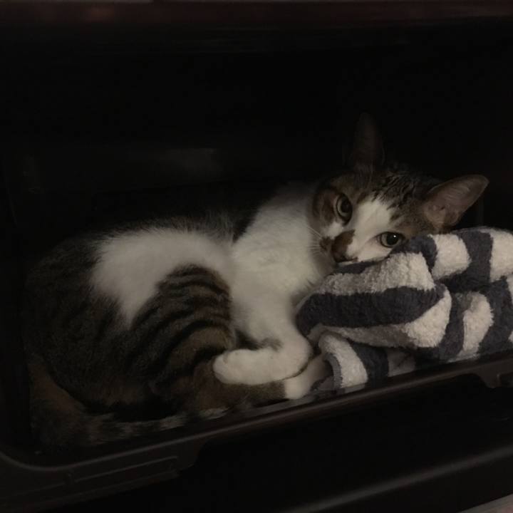 F6d7d587 2df2 4d42 8c39 108c475c4d15