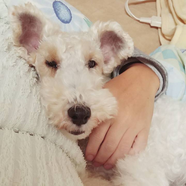 F6d7dc9a 40e8 4e9f bd47 5d4ac7a4011b