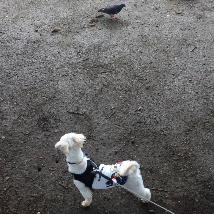 F6d8872c 369b 475d bb59 e199982314bf