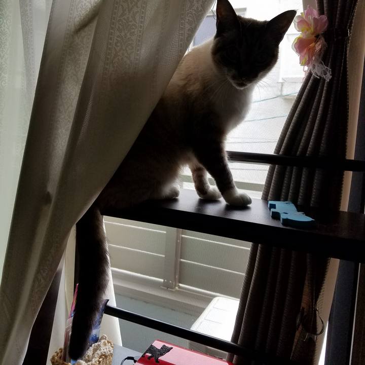 F6d89ac6 18b6 4daa 876c 7e905d937d47