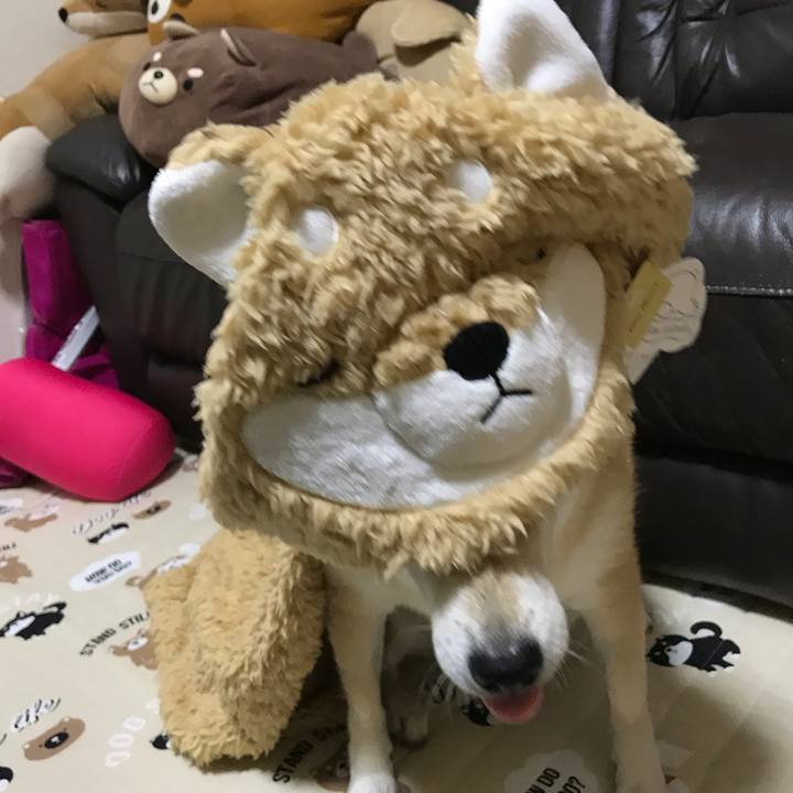 F6d89f1c d716 40ce b9ad 8f2db937fc2f