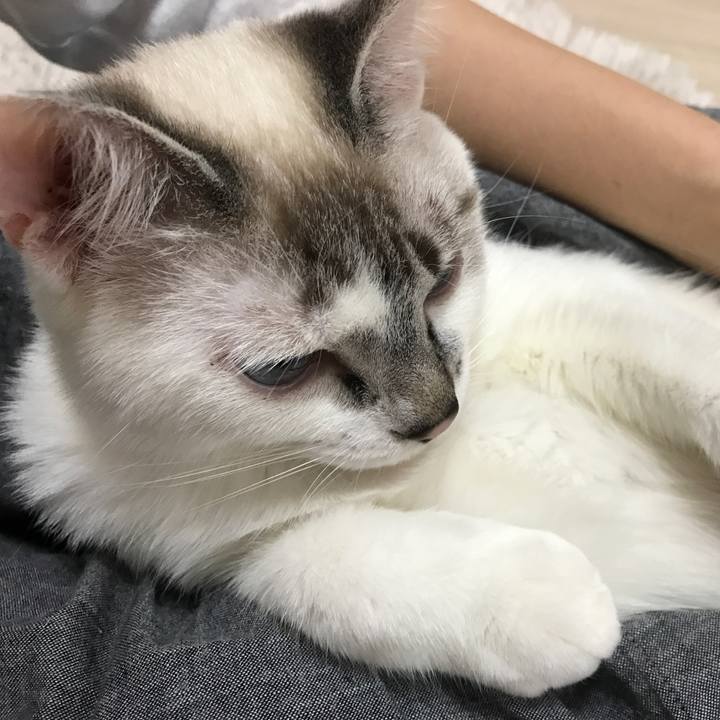 F6d8a888 658d 4f5d a04d 798043c9e0a8